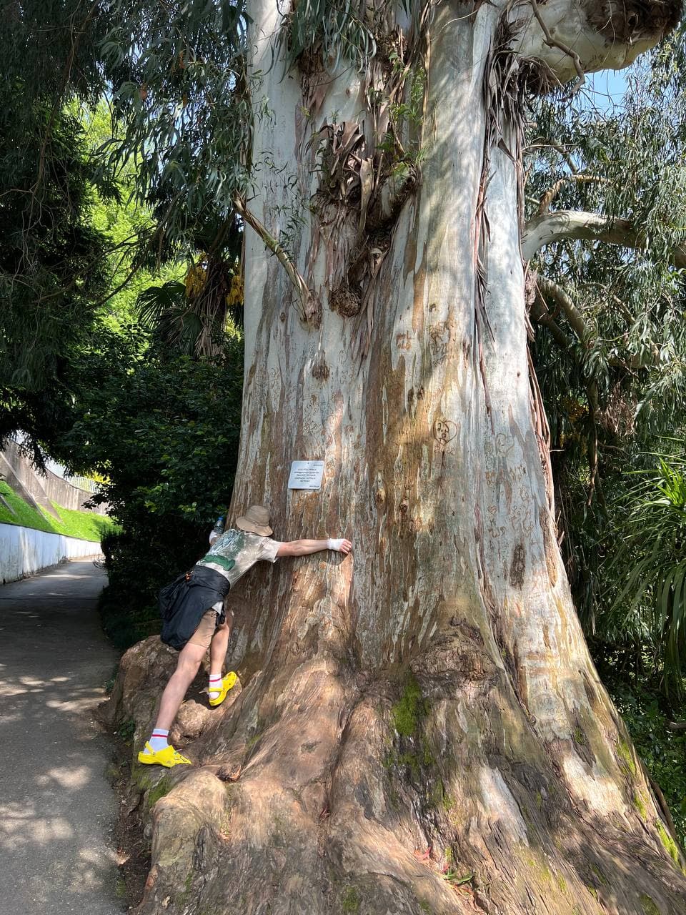 Ботанический сад